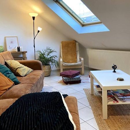 10Min Bus Strasbourg Centre-Parking Prive-Wifi-Tv Διαμέρισμα Bischheim Εξωτερικό φωτογραφία