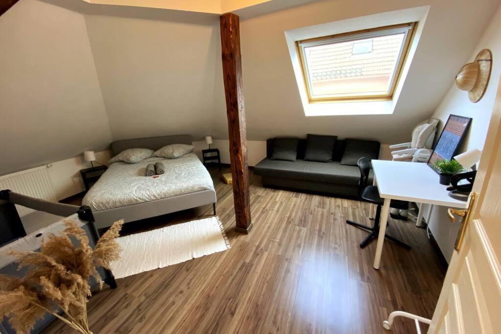 10Min Bus Strasbourg Centre-Parking Prive-Wifi-Tv Διαμέρισμα Bischheim Εξωτερικό φωτογραφία